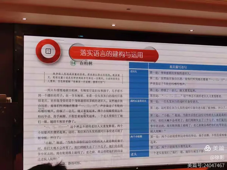 日日斗鸡都市里,赢得宝刀重刻字代表什么生肖，全面释义、综合解答解释落实